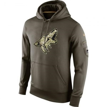 Men's Arizona Coyotes Nike Salute To Service NHL Hoodie