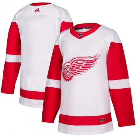 Men's Detroit Red Wings Blank White Stitched Jersey