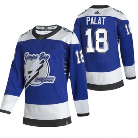 Men's Tampa Bay Lightning #18 Ondrej Palat 2021 Blue Reverse Retro Stitched Jersey