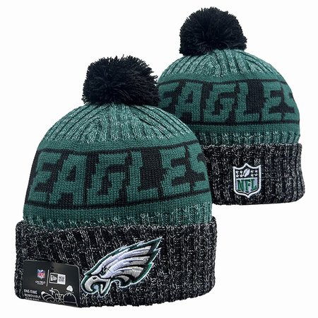 Philadelphia Eagles Beanies Knit Hat